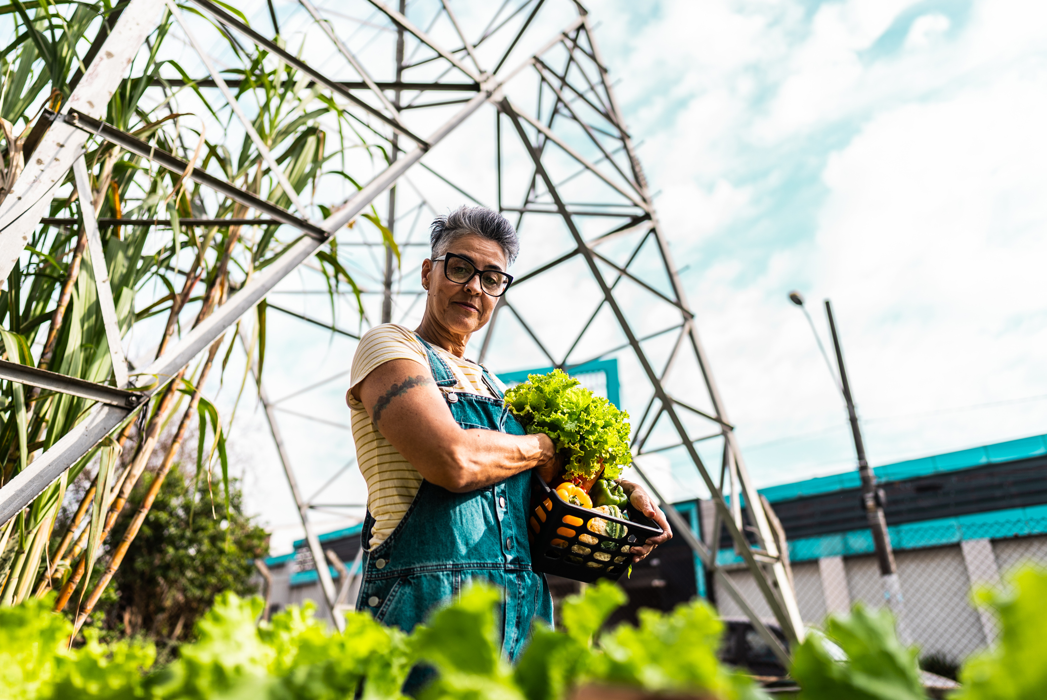 Mature woman harvesting vegetables on a community garden